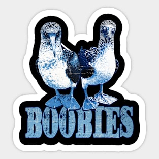 Funny Blue Footed Boobie Meme Sticker